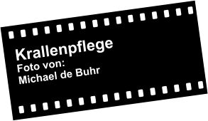 Krallenpflege Foto von: Michael de Buhr