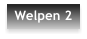 Welpen 2