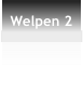 Welpen 2